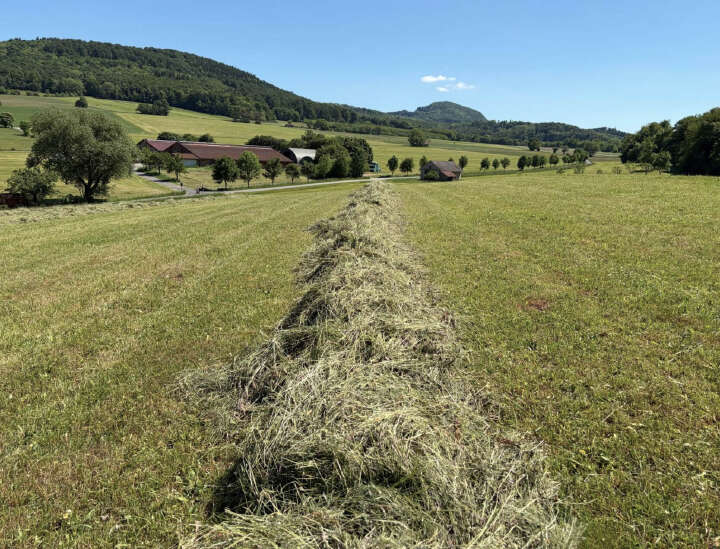 heulage und stroh erzeugen Schwaden Motiv 2